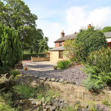 Brook Cottage Llanidloes Exterior photo